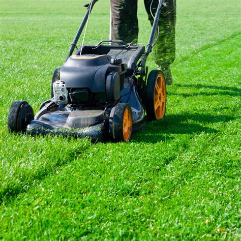 How to mow a lawn. Things To Know About How to mow a lawn. 